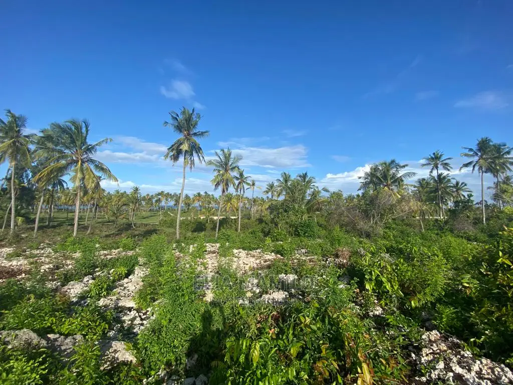 Beach Front Plot for Sale in Zanzibar.