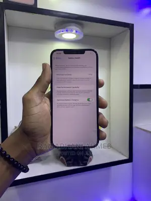 Apple iPhone 12 Pro Max 256 GB Gray
