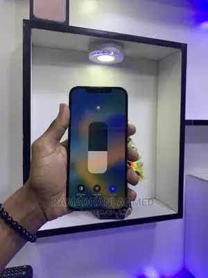 Apple iPhone 12 Pro Max 256 GB Gray