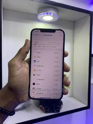 Apple iPhone 12 Pro Max 256 GB Gray