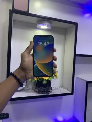 Apple iPhone 12 Pro Max 256 GB Gray