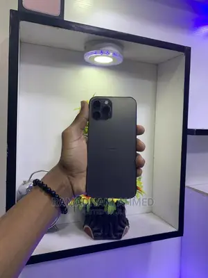 Apple iPhone 12 Pro Max 256 GB Gray