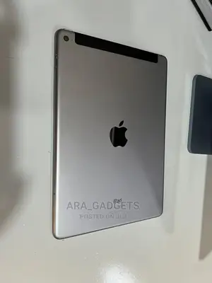 Apple iPad Air 16 GB Silver