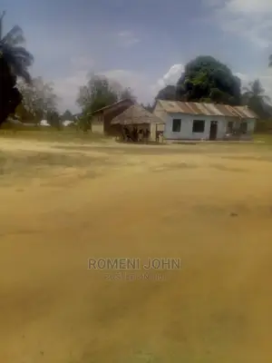 Eneo La Kibiashara Linalogusa Lami Linauzwa
