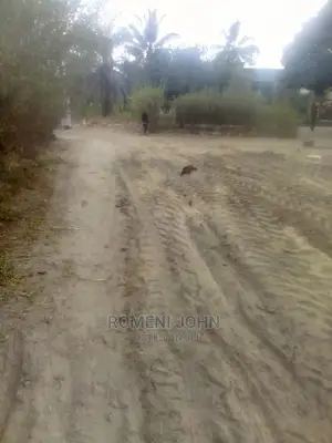 Viwanja Vinauzwa Kwa Bei Nafuu, Milioni 2 Tu.