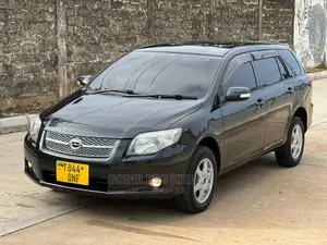 Toyota Corolla Fielder 2006 Black