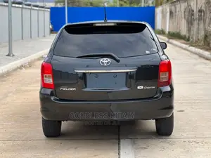Toyota Corolla Fielder 2006 Black