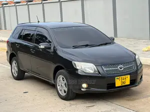 Toyota Corolla Fielder 2006 Black