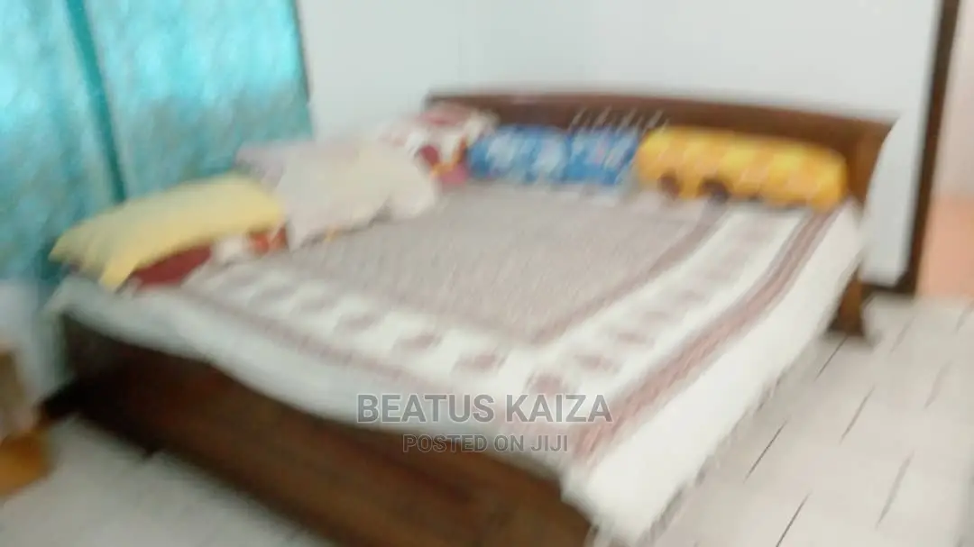 Furnished 3bdrm Apartment in Upanga Kitonga for rent