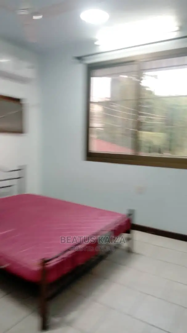 Furnished 3bdrm Apartment in Upanga Kitonga for rent