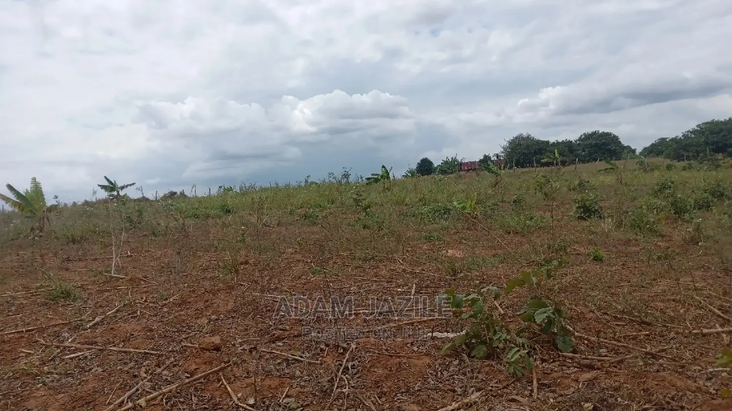 Shamba Linauzwa Kiwangwa Bagamoyo