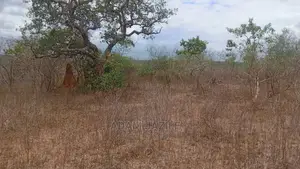 Shamba Linauzwa Kiwangwa Bagamoyo