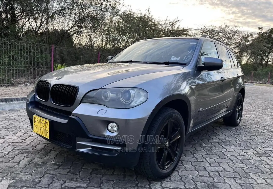 BMW X5 2008 Gray