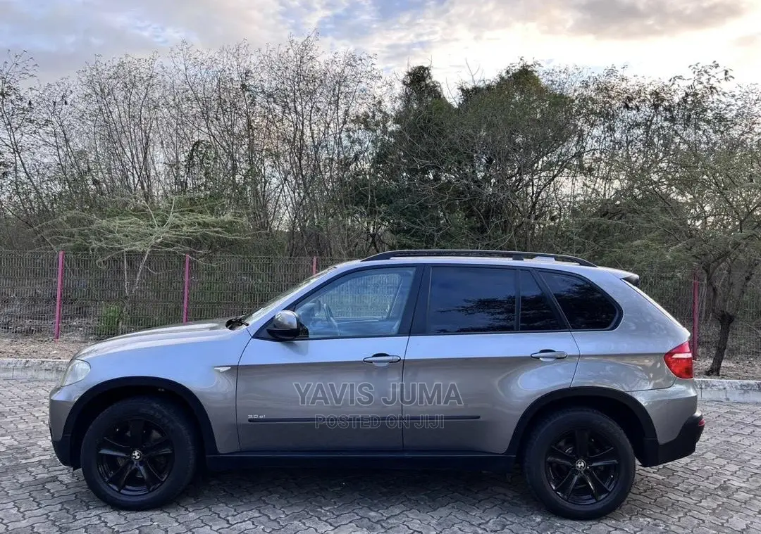 BMW X5 2008 Gray