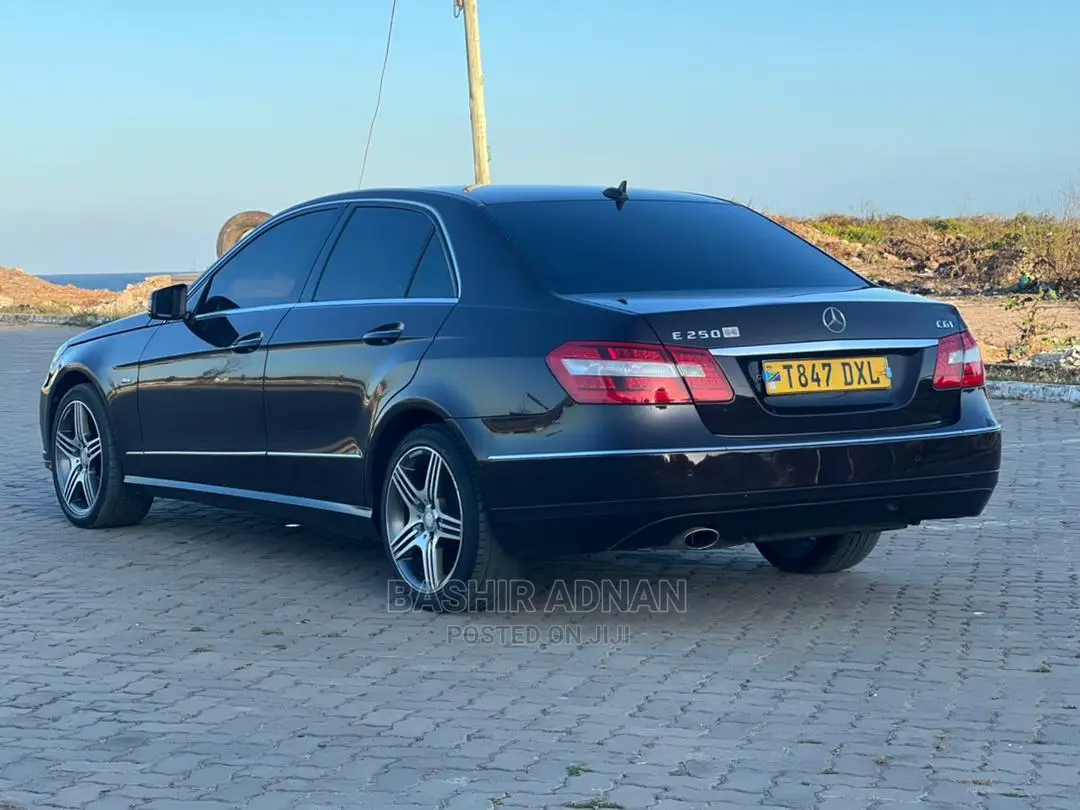 Mercedes-Benz E250 2010 Burgundy