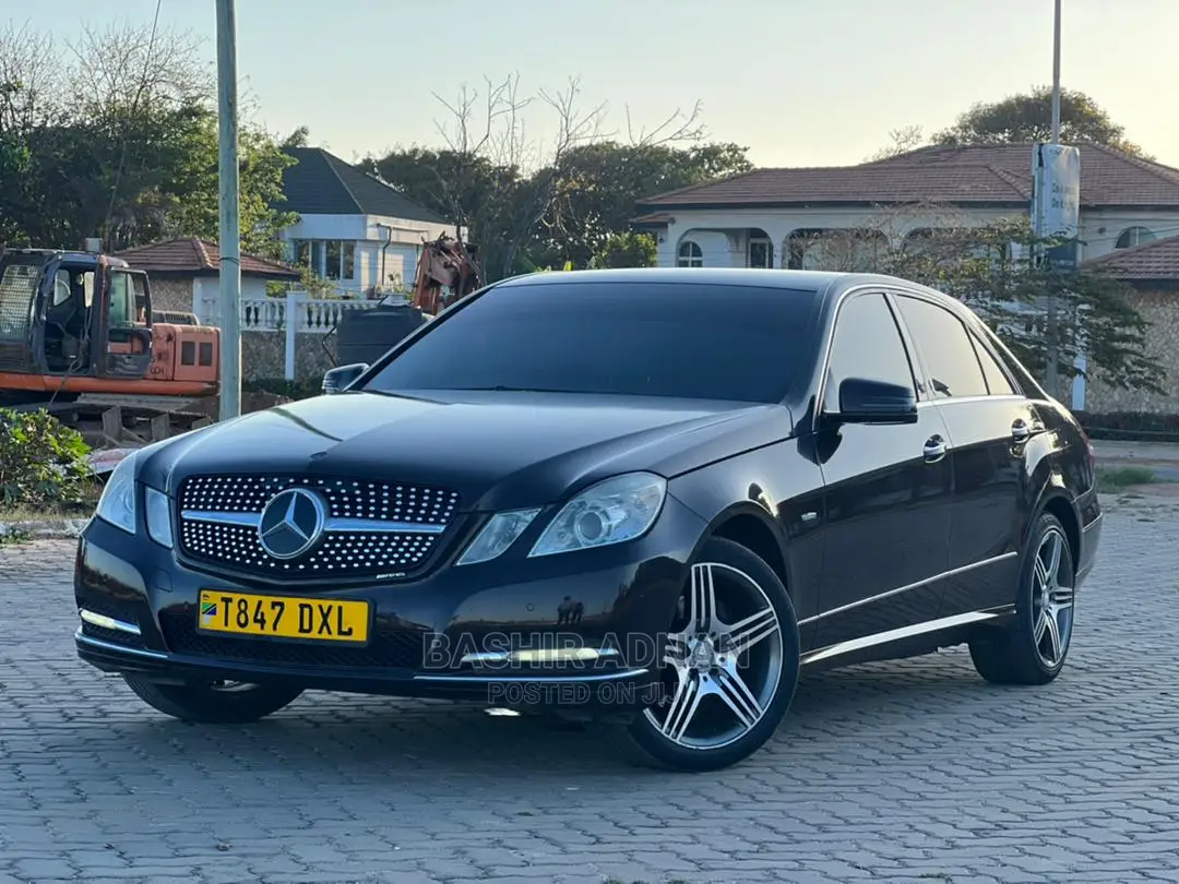 Mercedes-Benz E250 2010 Burgundy