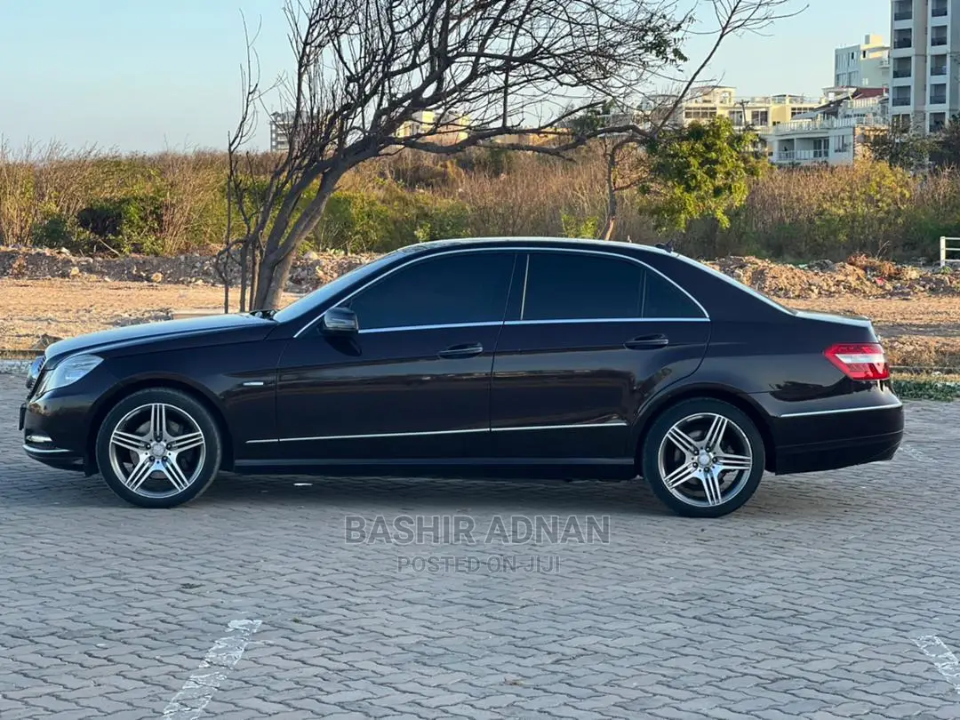 Mercedes-Benz E250 2010 Burgundy