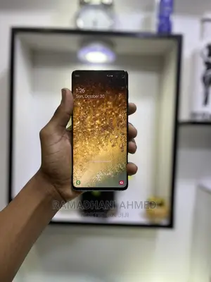 Samsung Galaxy S10 Plus 128 GB Blue