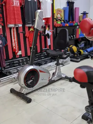 Recumbent Exercise Bike 2 in 1