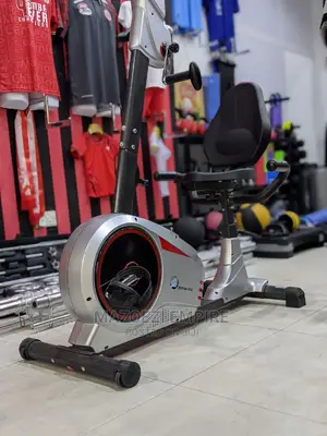 Recumbent Exercise Bike 2 in 1