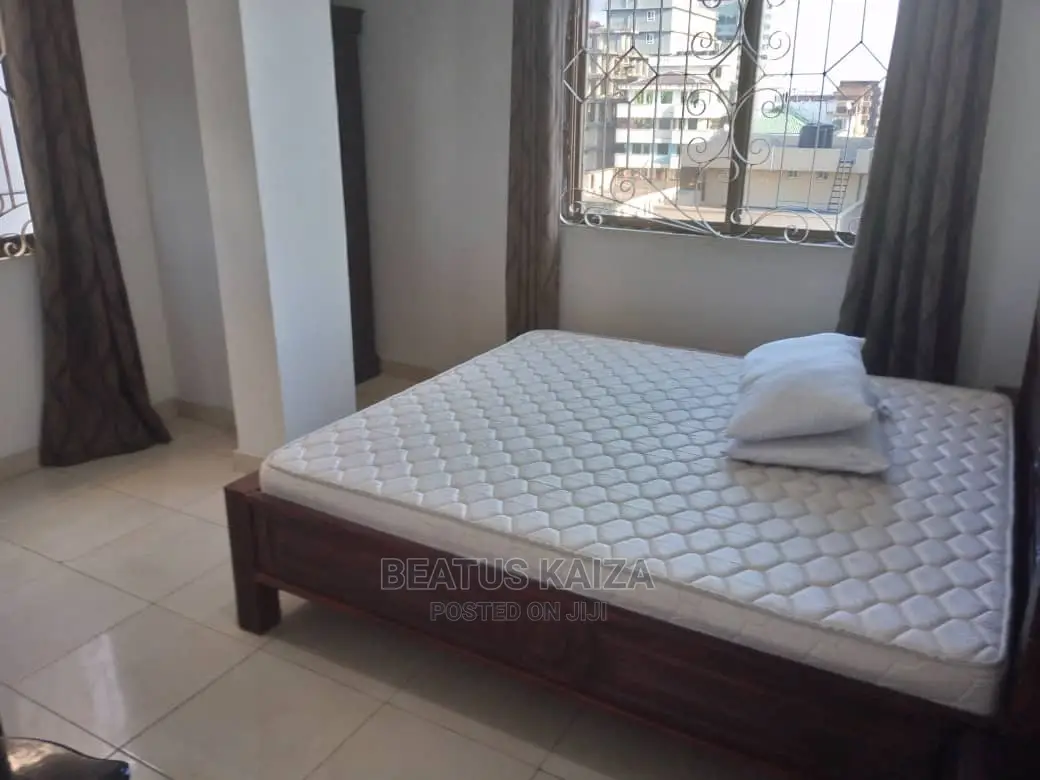 Furnished 3bdrm Apartment in Kariakoo Living for rent