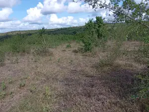 Shamba Linauzwa Kiwangwa Mwetemo