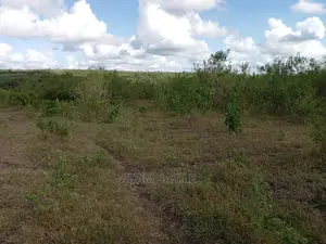Shamba Linauzwa Kiwangwa Mwetemo