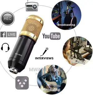 Condenser Microphone Bundle, HDSNH BM-800 Mic Kit