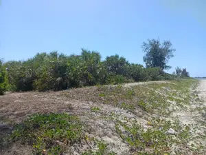Beach Plote Inauzwa Mkwaja Tanga
