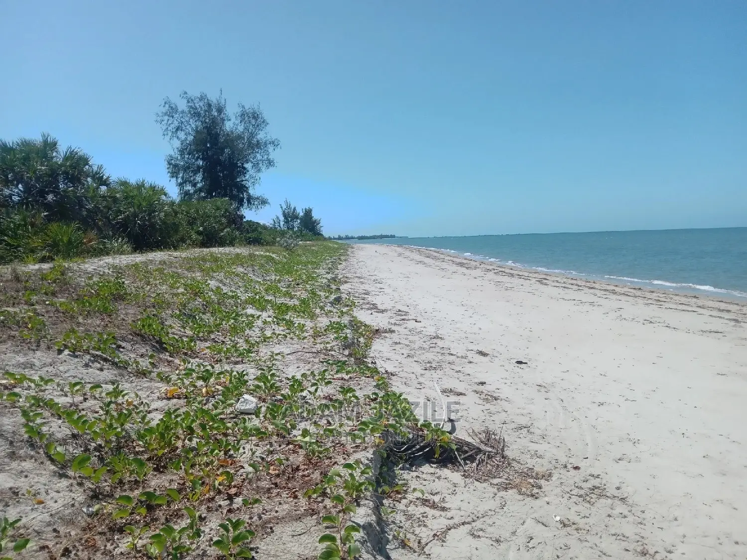 Beach Plote Inauzwa Mkwaja Tanga
