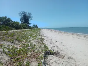 Beach Plote Inauzwa Mkwaja Tanga