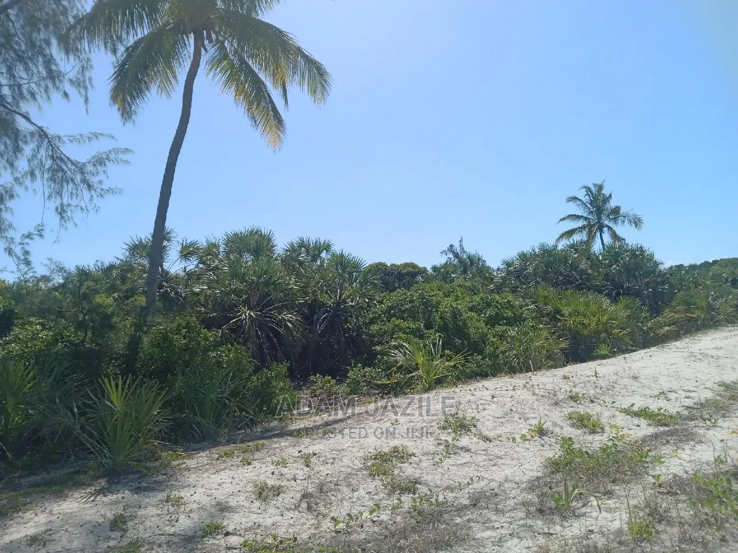 Beach Plote Inauzwa Mkwaja Tanga