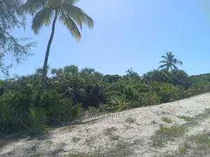 Beach Plote Inauzwa Mkwaja Tanga