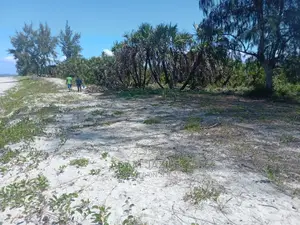 Beach Plote Inauzwa Mkwaja Tanga