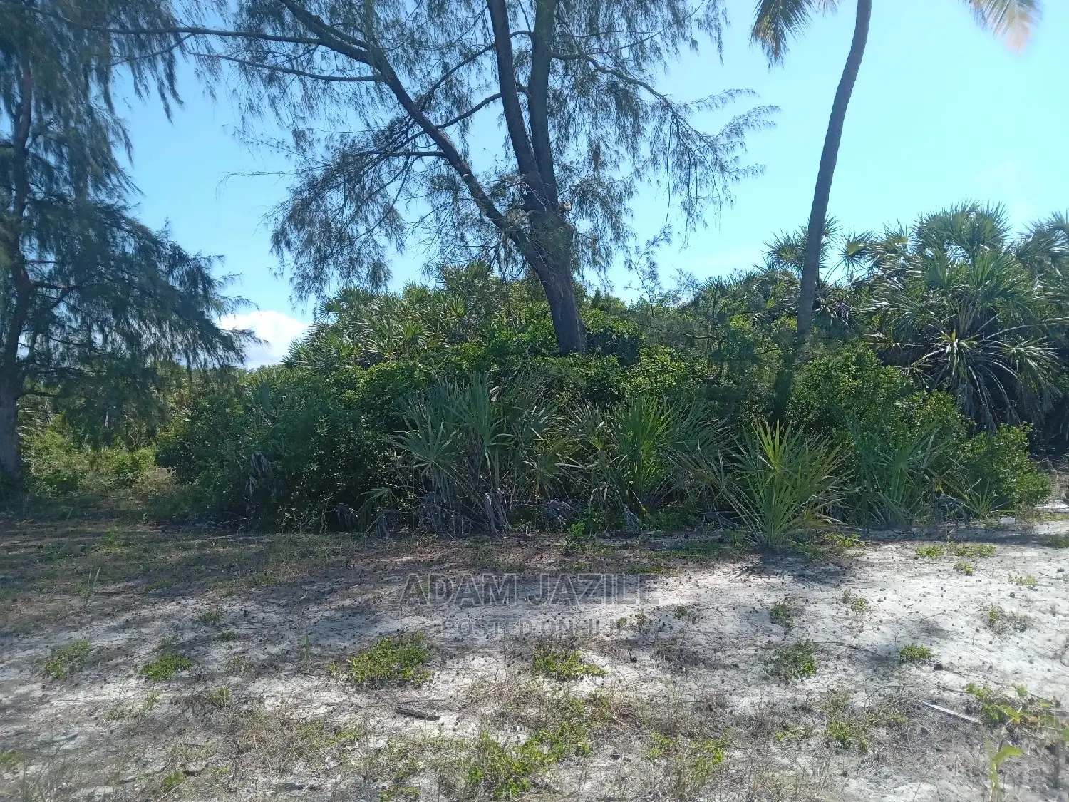 Beach Plote Inauzwa Mkwaja Tanga