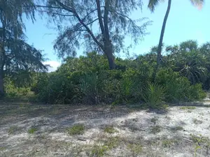 Beach Plote Inauzwa Mkwaja Tanga