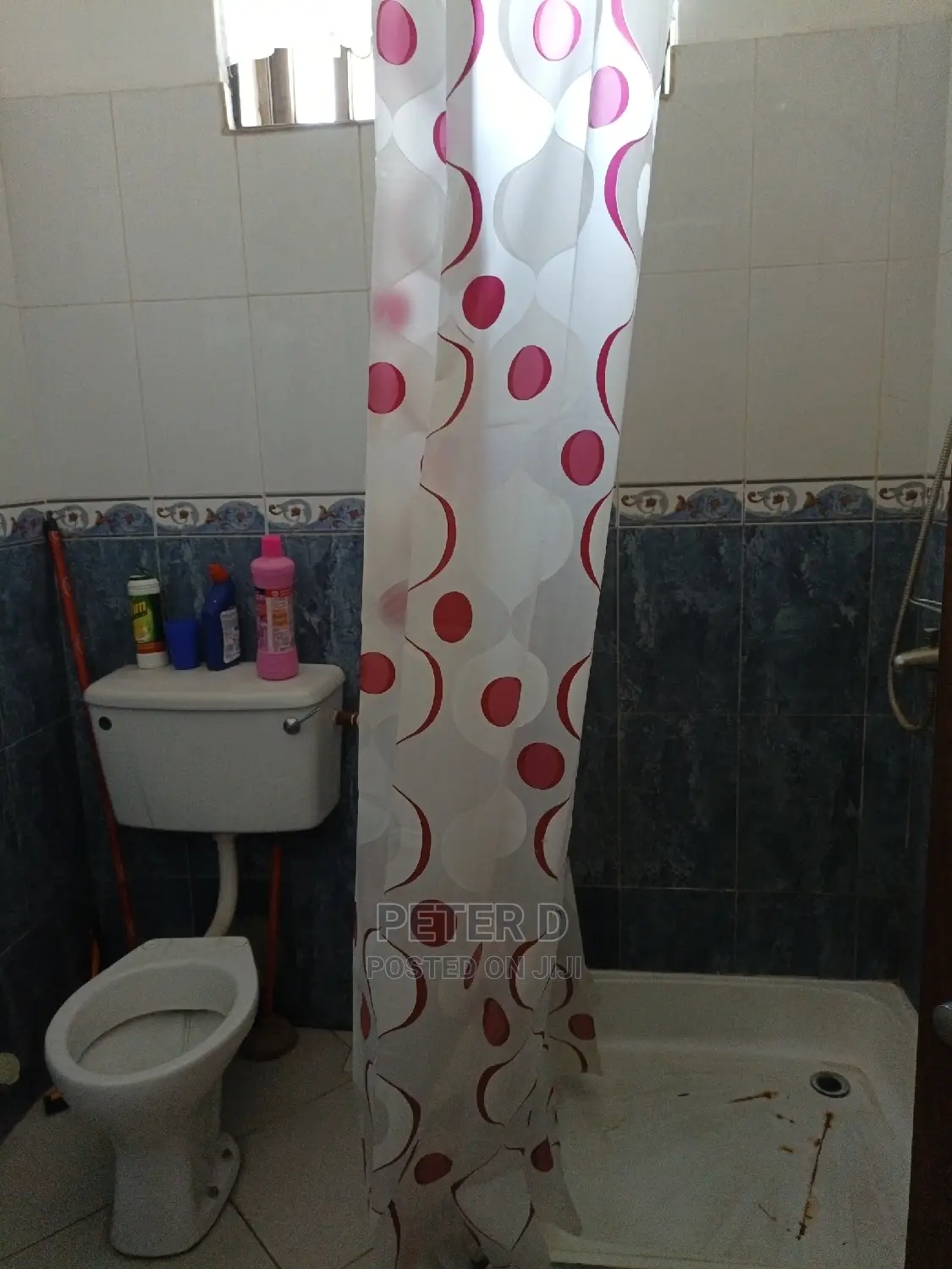 1bdrm Shared Apartment in Mikocheni for rent