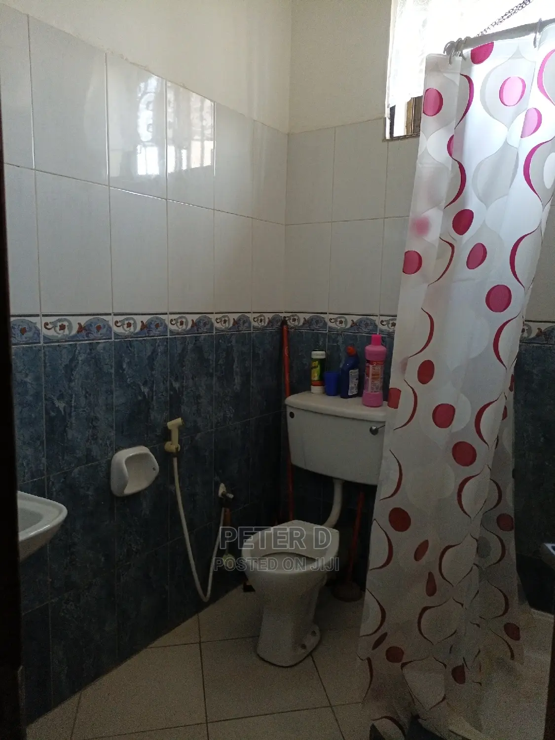 1bdrm Shared Apartment in Mikocheni for rent