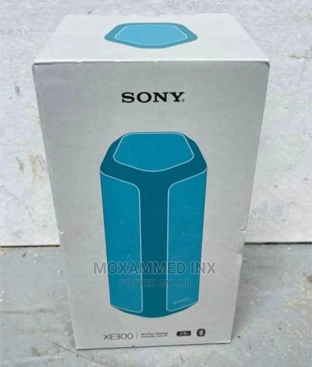 Sony XE300