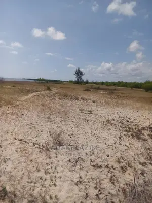 Beach Prote Saadan Inauzwa