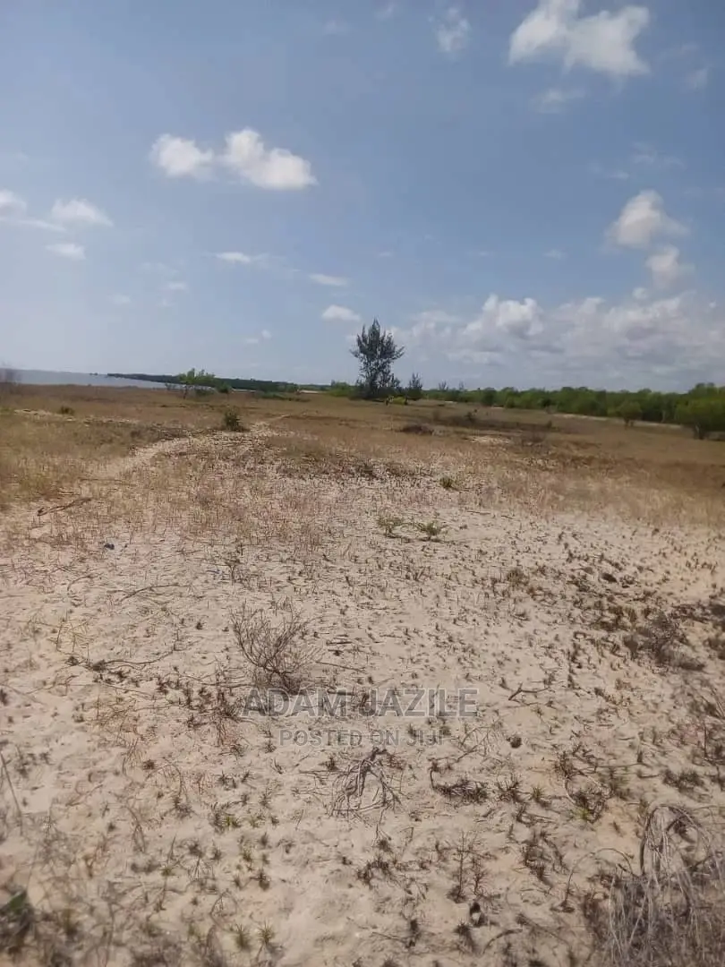 Beach Prote Saadan Inauzwa