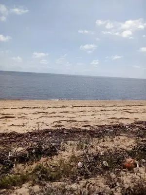 Beach Prote Saadan Inauzwa