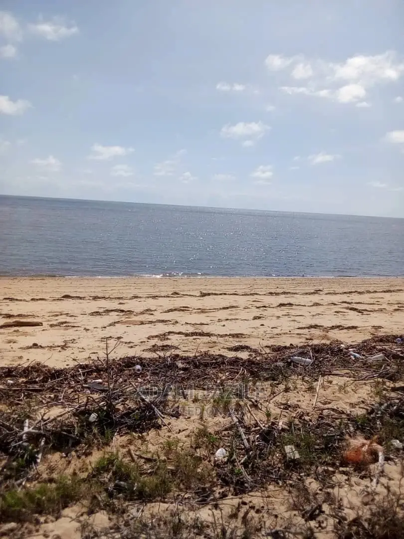Beach Prote Saadan Inauzwa