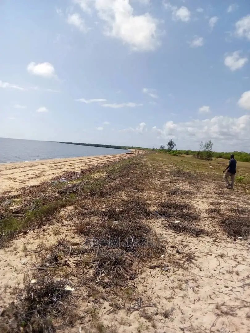 Beach Prote Saadan Inauzwa