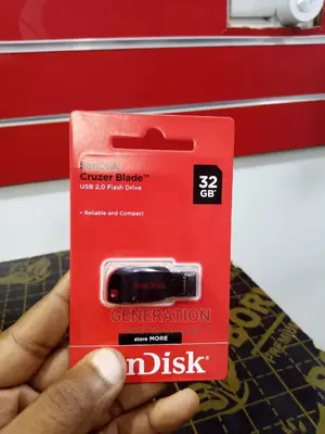 Flash Disk