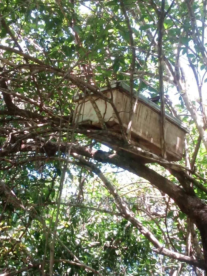 Acre 300 for Sale Loction Iringa