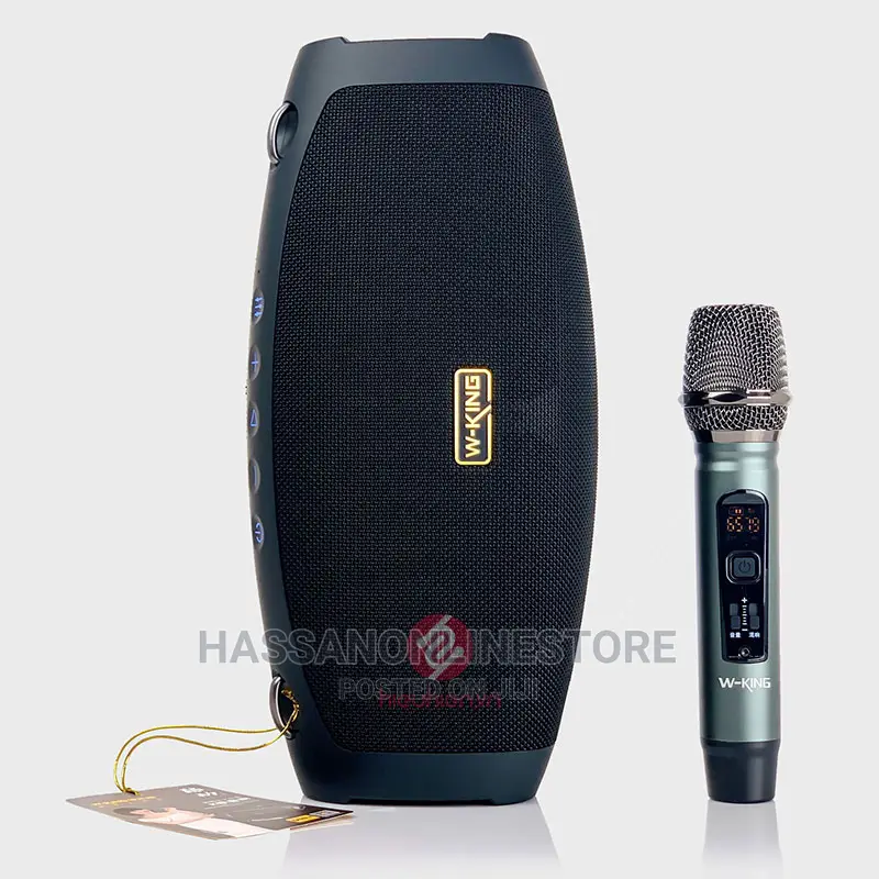 W King D10 Plus Bluetooth Speaker With Microphone