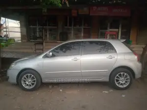 Toyota Allex 2006 Silver