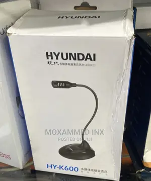 Hyundai Microphone