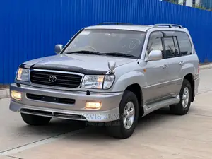 Toyota Land Cruiser 2002 Gray